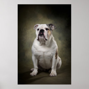 Elegant Dog Silhouette Poster