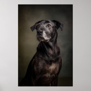 Elegant Dog Silhouette Poster