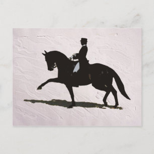 Elegant Dressage Horse & Rider Postcard