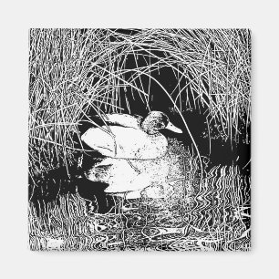 Elegant Duck in Reeds Black and White Nature Magnet