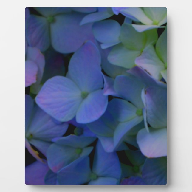 Elegant dusty blue purple floral plaque (Front)