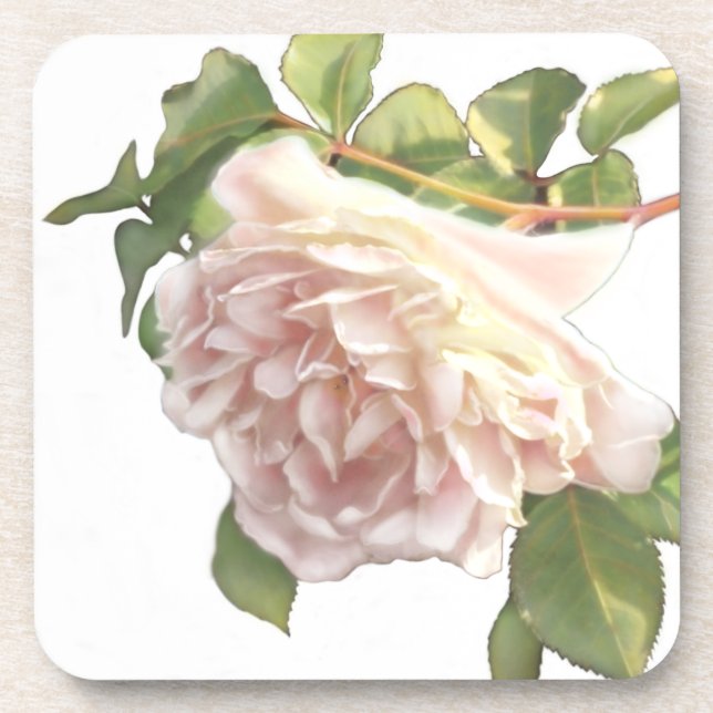 Elegant dusty peachy orange white floral rose coaster (Front)
