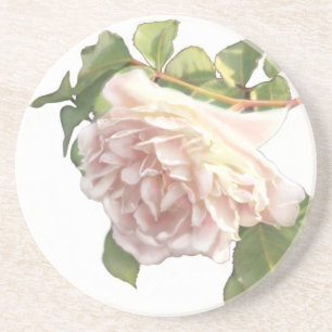 Elegant dusty peachy orange white floral rose coaster