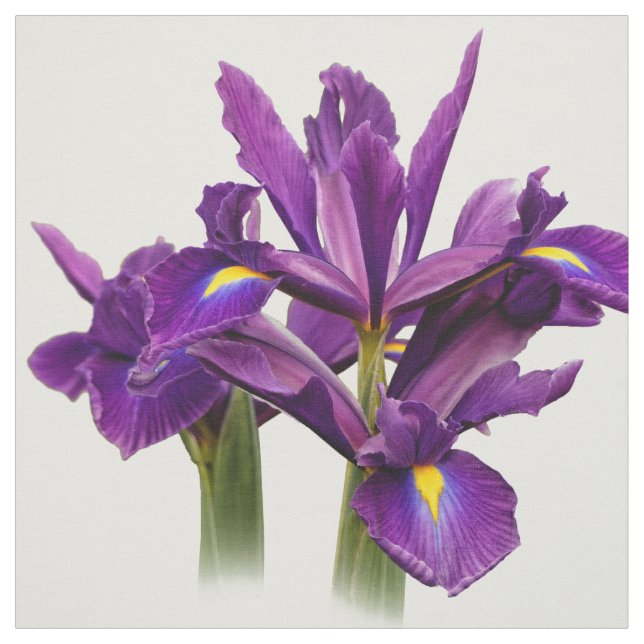 Elegant Dutch Iris Purple Sensation Fabric (Swatch)