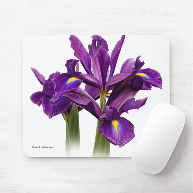 Elegant Dutch Iris Purple Sensation Flowers Mouse Mat (With Mouse)