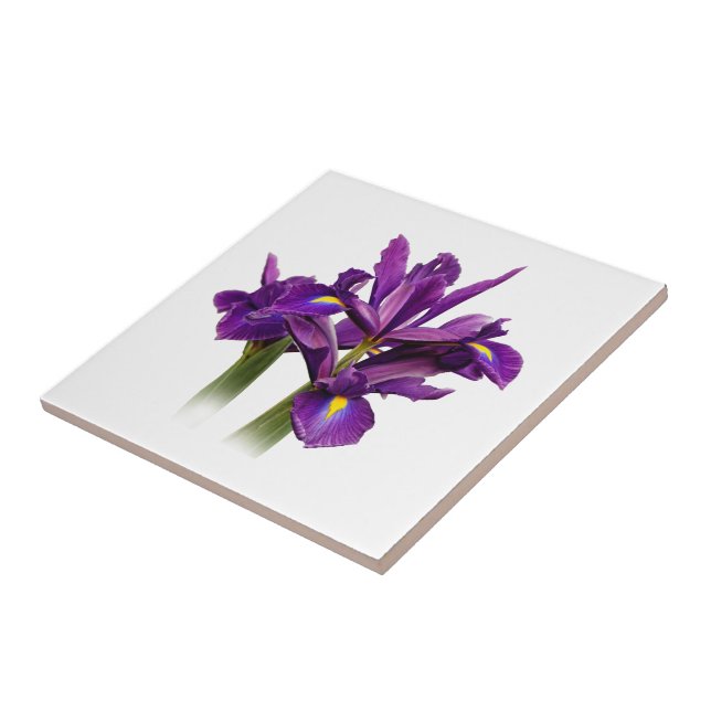 Elegant Dutch Iris Purple Sensation Tile (Side)