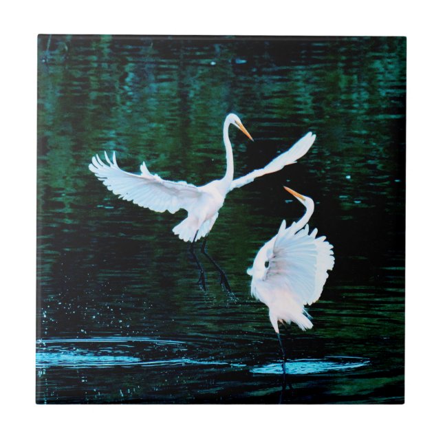 Elegant Egrets In Dance Tile (Front)