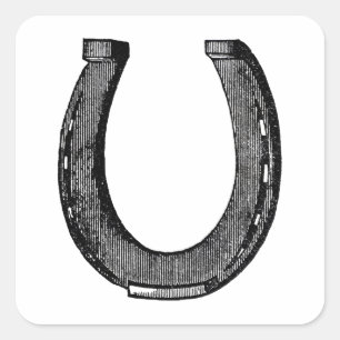 Elegant Equestrian Horse Vintage Horseshoe Square Sticker