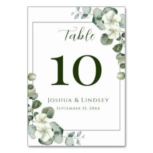 Elegant Eucalyptus and White Blossom Table Number