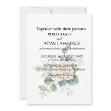 Elegant eucalyptus botanical photo   