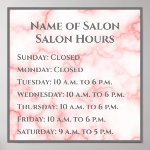 Elegant Faux Pink Marble Salon Hours Poster