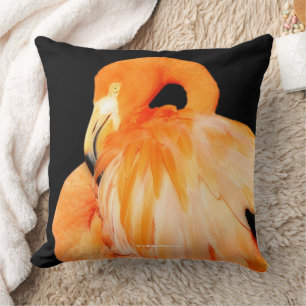 Elegant Flamingo Wading Bird in Summer Sun Cushion