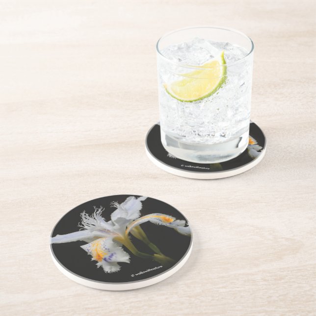 Elegant Floral Crested Shaga Japanese Iris Coaster (Side)