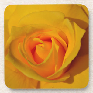 Elegant floral flower Yellow Rose Coaster