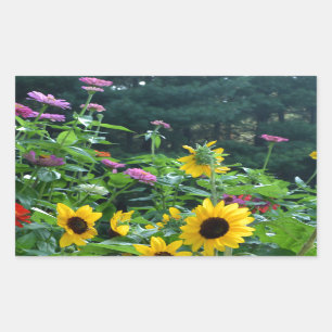 Elegant floral garden sunflowers zinnia mums  rectangular sticker