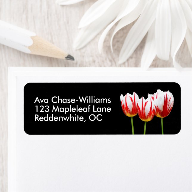 Elegant Floral Maple Leaf Red White Tulips (Insitu)