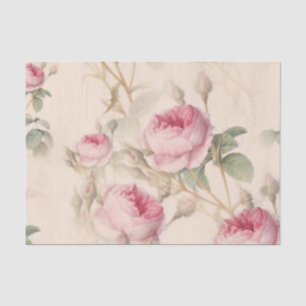 Elegant Floral Pattern of Pink Roses Tissue Paper