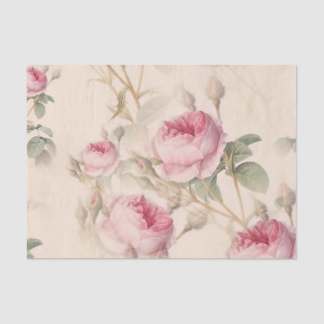 Elegant Floral Pattern of Pink Roses Tissue Paper (Front)