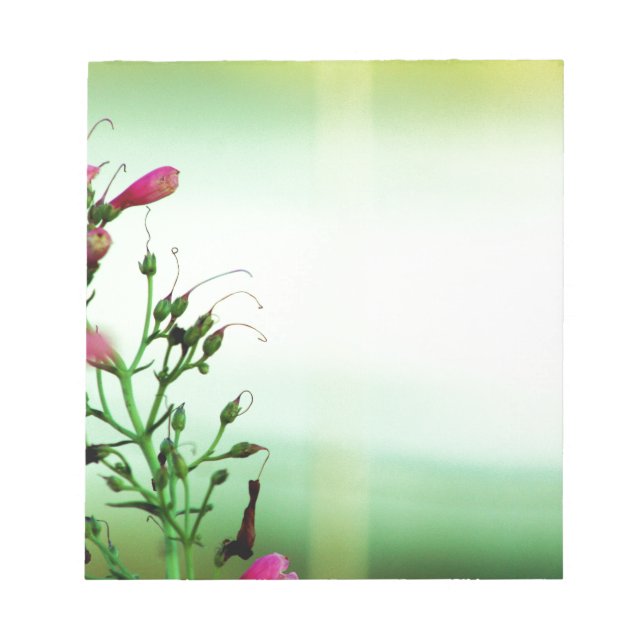 Elegant Floral Photography Notepad (Front)