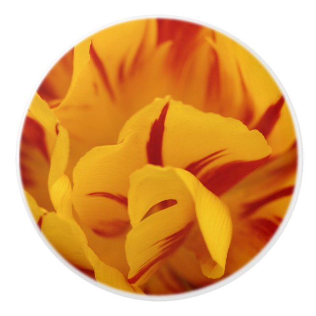 Elegant Floral Red and Gold Monsella Tulips Ceramic Knob (Front)