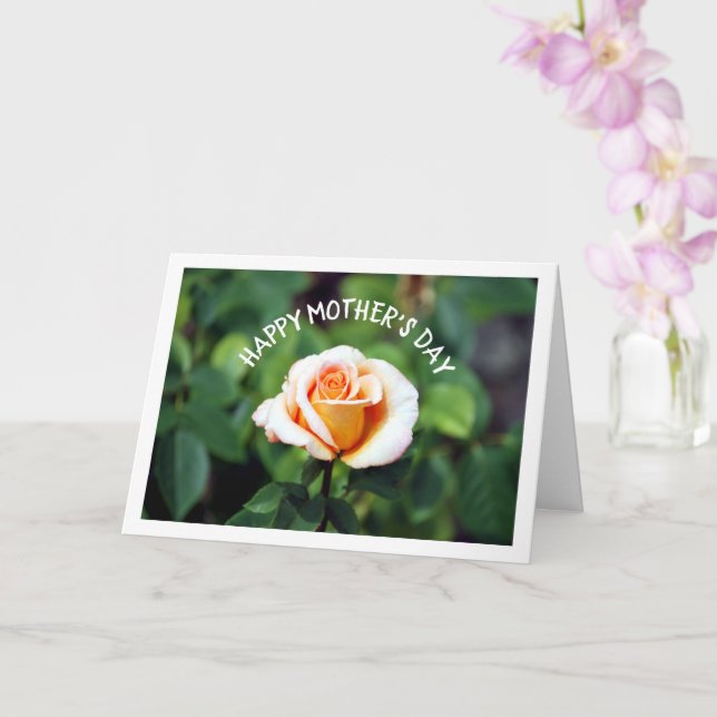 Elegant Floral Rose Card (Orchid)