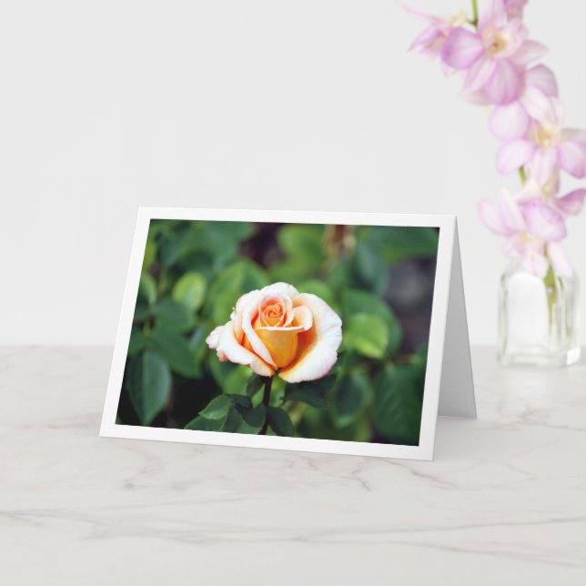 Elegant Floral Rose Card (Orchid)