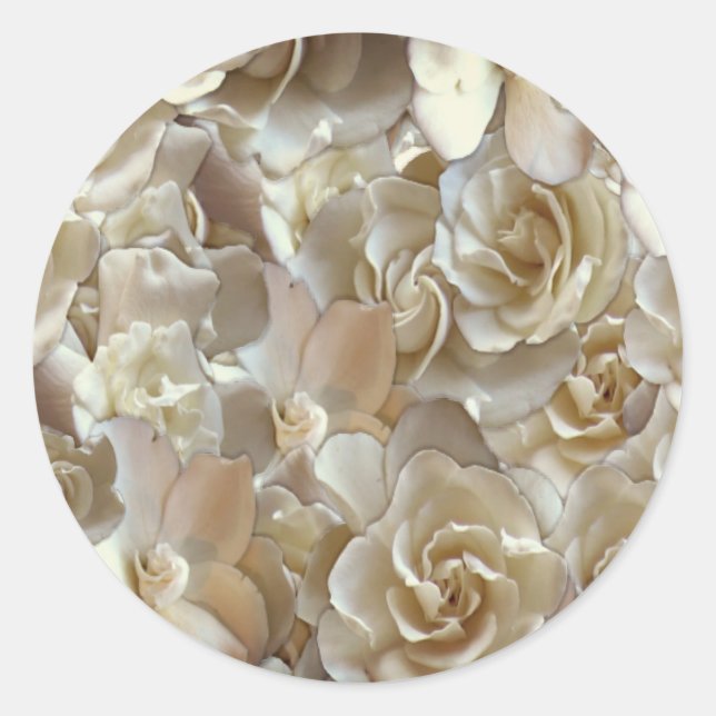 Elegant Floral Rose Petal Pattern  Classic Round Sticker (Front)