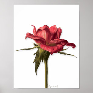 Elegant Floral Rose Poster