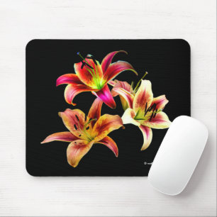 Elegant Floral Yellow Pink Daylilies Flowers Mouse Mat