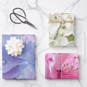 Elegant Florals Wrapping Paper Flat Sheet Set