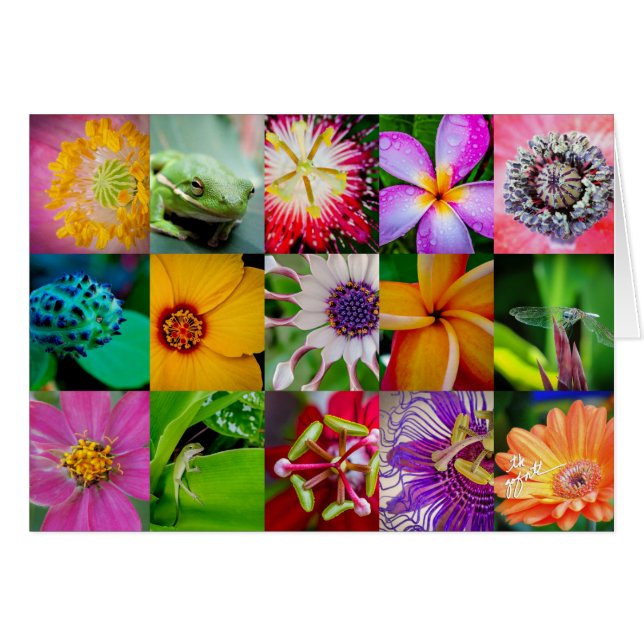 Elegant Flowers and Creatures Floral Pattern (Front Horizontal)