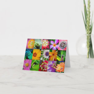 Elegant Flowers and Creatures Floral Pattern Card