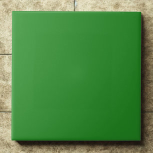 Elegant Forest Green #228b22 Modern Accent Tile