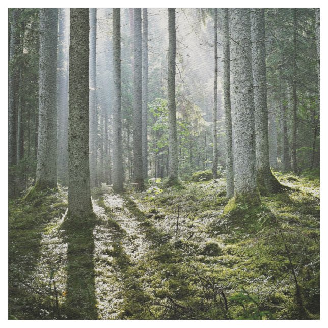 Elegant forest morning scene fabric (Swatch)
