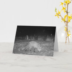 Elegant Fox in Snow Countryside Wildlife Photo Card