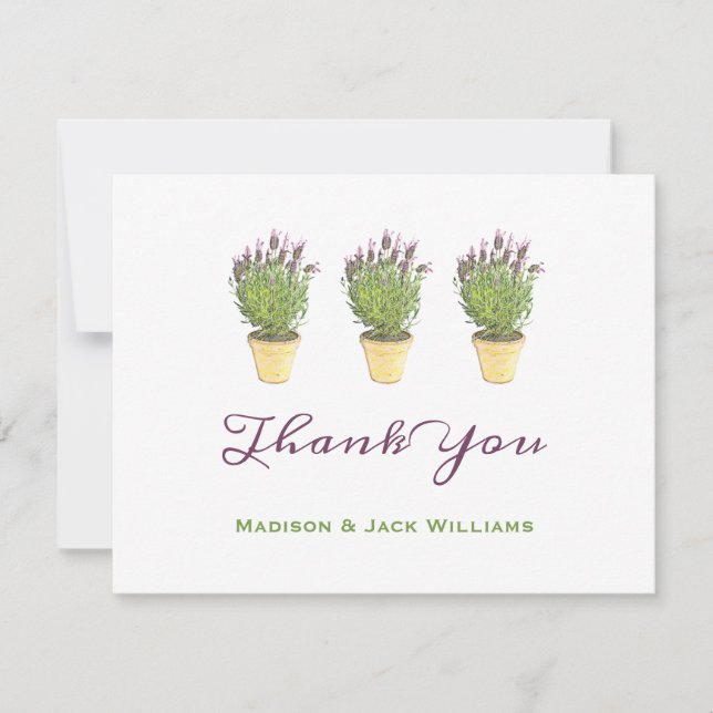 Elegant French Lavender Potted Plant Thank You (Front)