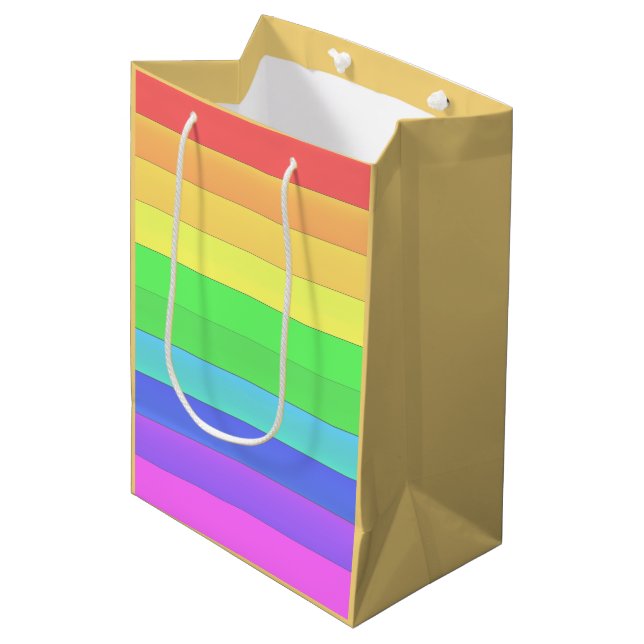 Elegant & Fun Colourful Rainbow Stripes Medium Gift Bag (Front Angled)