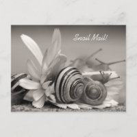 Elegant Garden Snails on Gerber Daisy Flower