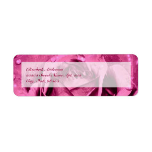 Elegant Girly Pink Rose