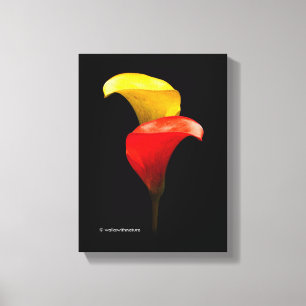 Elegant Gold and Crimson Calla Lilies Canvas Print