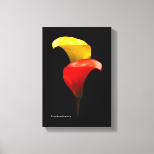 Elegant Gold and Crimson Calla Lilies Canvas Print