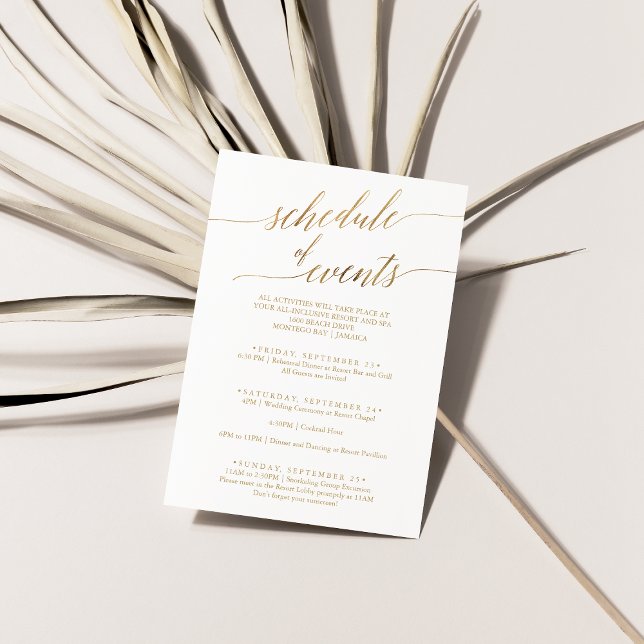 Elegant Gold Wedding Weekend Schedule of Events Enclosure Card (Creator Uploaded)