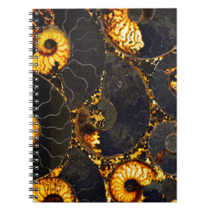 Elegant golden nautilus design notebook