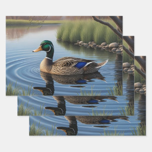 Elegant Graceful Mallard On Tranquil Country Pond Wrapping Paper Sheet