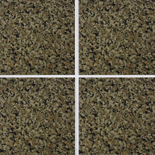 Elegant Granite Euphoria Tile