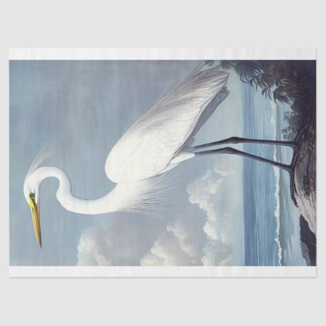 Elegant Great Egret Watercolor Decoupage Bird Art Tissue Paper (Front)