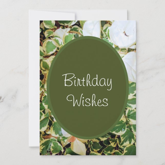 Elegant Green Birthday Wishes  Holiday Card (Front)