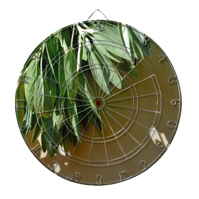 Elegant green botanical leaves Fresh-cut herbs Dartboard (Front)