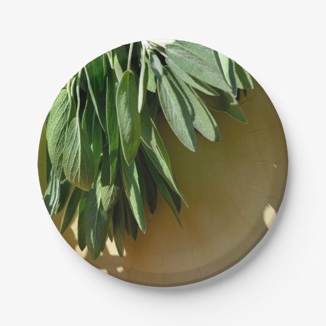 Elegant green botanical leaves Fresh-cut herbs Paper Plate (Front)
