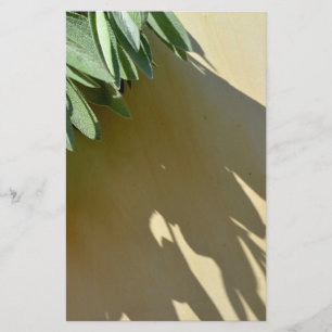 Elegant green botanical leaves Fresh-cut herbs Stationery